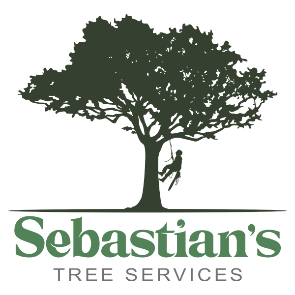 Sebastian Tree Services - Landscaping